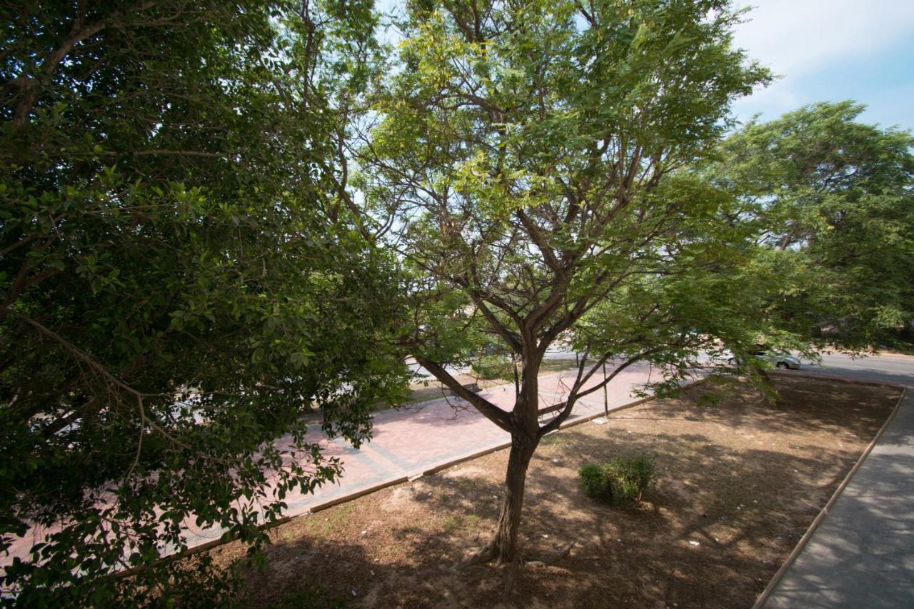 113 Beach And Trees - Alicante Holiday Торевьиа Экстерьер фото