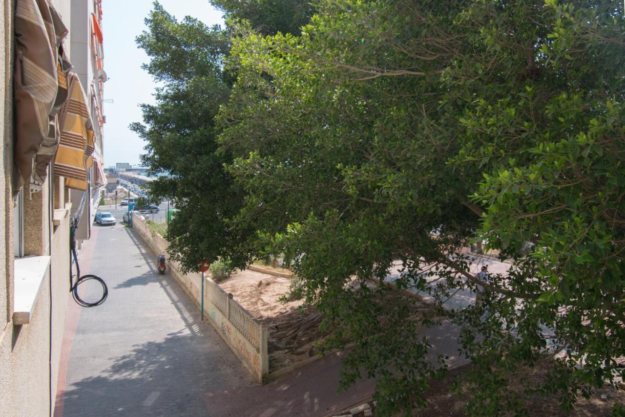 113 Beach And Trees - Alicante Holiday Торевьиа Экстерьер фото
